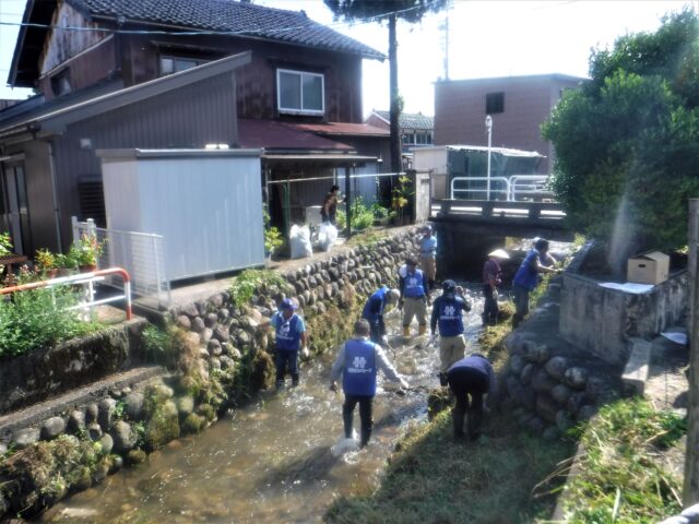 20230722鴨川一斉清掃①